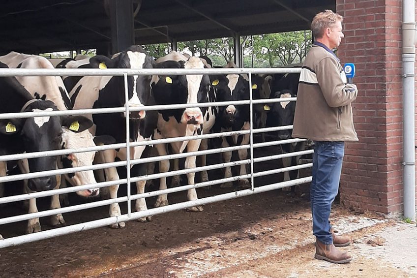 Melkveehouder Ben Apeldoorn in Woudenberg wordt voor het hek van zijn stal geïnterviewd door de Telegraaf. Foto: Lydia van Rooijen