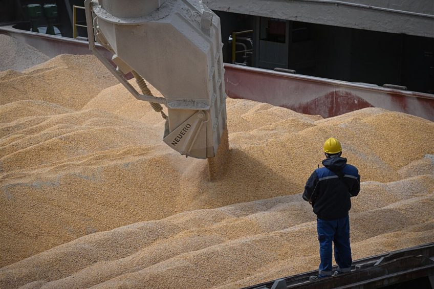 Verladen van graan uit de Oekraïne in de haven van Constanța. Via deze Roemeense haven kan momenteel nog een deel van het Oekraïense graan geëxporteerd worden. - Foto: ANP