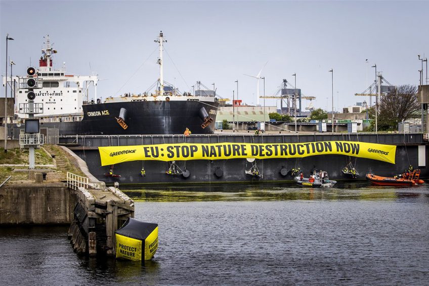 Actievoerders van Greenpeace blokkeren de Noordersluis in IJmuiden. - Foto: ANP