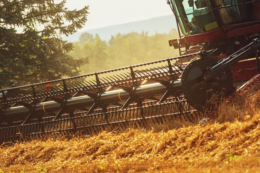 Van de totale graanproductie van 309,5 miljoen ton komt 21% uit Frankrijk. - Foto: Canva