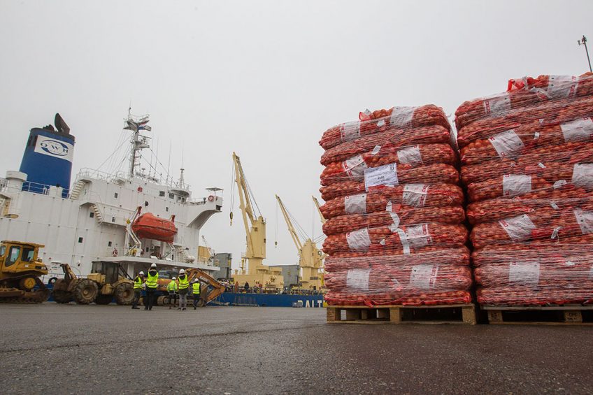 Uien worden geladen voor export per schip in de haven van Vlissingen. - Foto: Peter Roek
