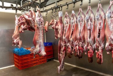 Karkassen van schapen in een halal slagerij. - Foto: ANP