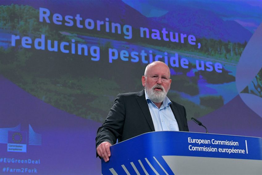 Volgens Eurocommissaris Frans Timmermans is het nieuwe Europees landbouwbeleid, met grote nadruk op duurzaamheid, juist nodig om op lange termijn de voedselproductie op peil te houden. - Foto: ANP