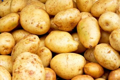 Destatis registreert bij tafelaardappelen en aardappelen in het algemeen prijsstijgingen van meer dan 100% in de telersprijzen. Foto: Canva