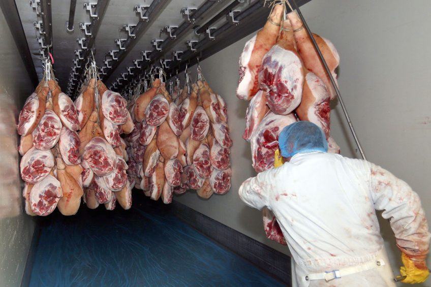 Varkenshammen laden voor export. - Foto: Bert Jansen