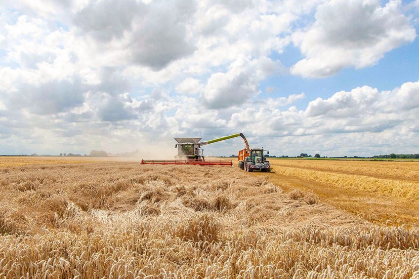 De graanpools konden de grote prijsstijgingen voor tarwe en gerst afgelopen voorjaar nog meenemen in de prijsvorming. - Foto: Koos van der Spek