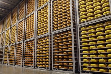 Bewaring van kaas bij A-ware. Foto: Michel Zoeter