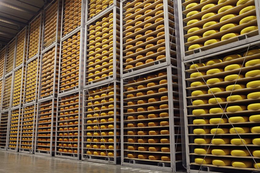 Bewaring van kaas bij A-ware. Foto: Michel Zoeter
