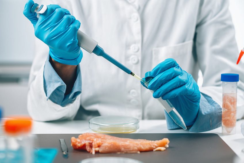 Testen van voedsel op microbiële pathogenen. - Foto: Canva