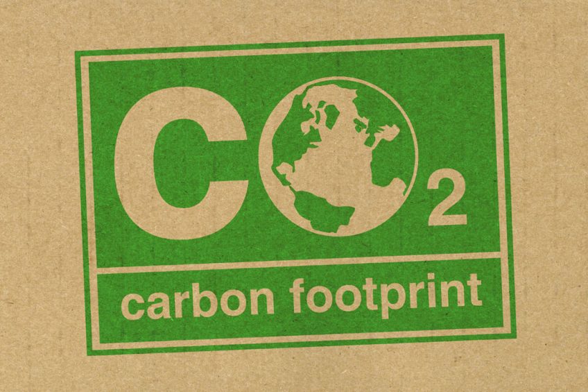 Hoe je het ook noemt, de Nederlander vindt het belangrijk dat bedrijven werken aan een kleinere CO2-voetafdruk, en zorgdragen voor het milieu. - Foto: Canva/ChrisSteer