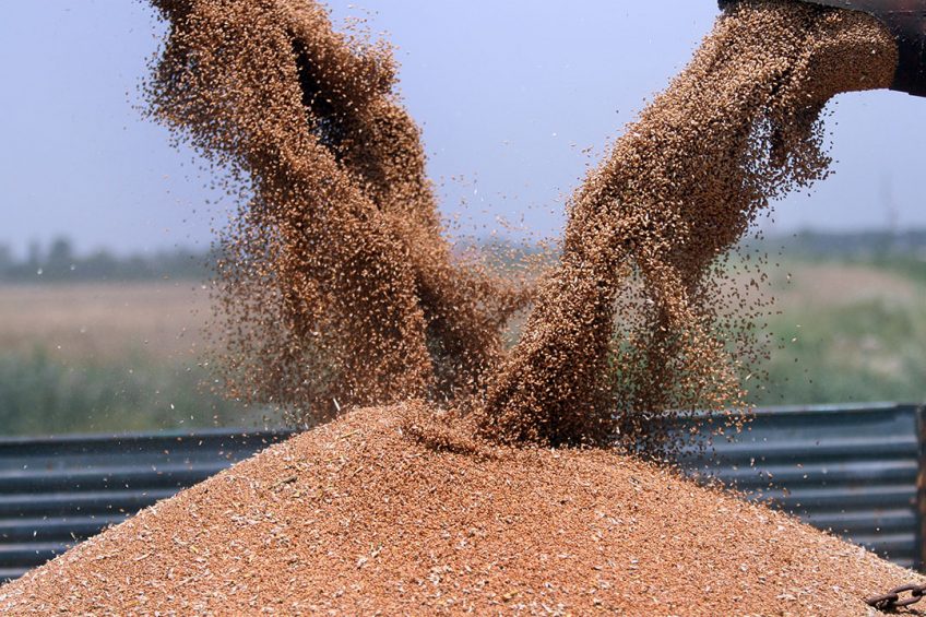 Rusland beweert al langer dat de EU-sancties de export van bijvoorbeeld graan en kunstmest hinderen. - Foto: Canva/Getty Images
