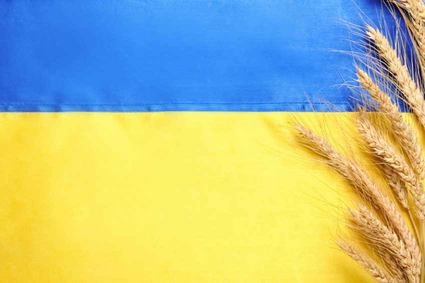 Het adviesbureau UkrAgroConsult  schat dat ongeveer een derde van het areaal tarwe in Oekraïne veilig geoogst kan worden. Foto: Canva