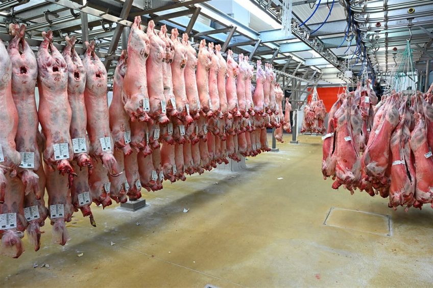 Varkensvlees op de grote Rungis-markt in Frankrijk. - Foto: ANP
