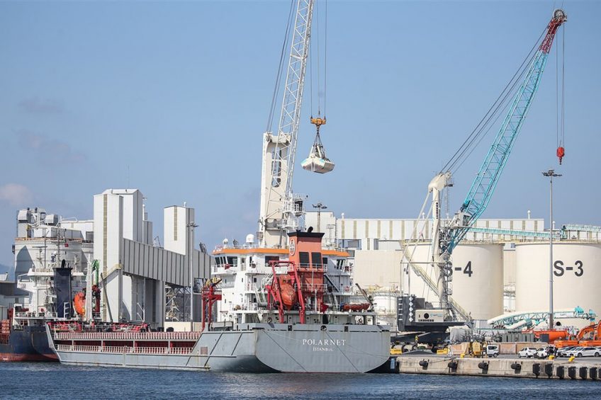 Het schip Polarnet uit Oekraïne gevuld met graan komt aan in de Turkse havenstad Derince. - Foto: ANP/ EPA/ ERDEM SAHIN