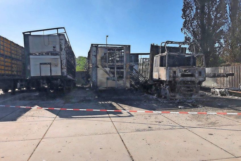 Bij de brand bij eendenslachterij Tomassen Duck-To brandden drie vrachtwagens volledig uit. Foto: Omroep Gelderland