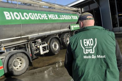 Een RMO van Eko Holland haalt melk op bij een biologische melkveehouder. Eko Holland is de grootste partij met zo’n 270 aangesloten melkveehouders. - Foto: Fotopersburo Dijkstra