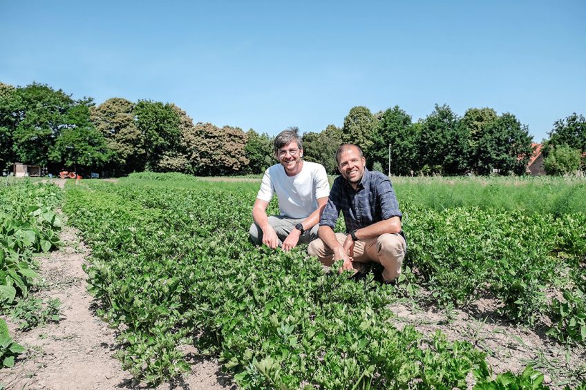 Julien de Brouwer (l) en Quentin Labrique (r) openden in mei 2017 hun eerste biologische winkel in Brussel. The Barn Bio Market is volgens hen een biologische winkel met betaalbare prijzen. Foto's: The Barn Bio Market