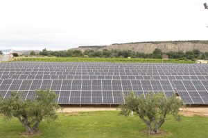 Dochterbedrijf Malteurop van de Vivescia Group heeft dit jaar een 1,2 hectare groot veld met zonnepanelen in gebruik genomen bij de locatie in San Adrian in Spanje. De zonneweide levert 12% van de elektriciteit die de mouterij nodig heeft en bespaart jaarlijks een CO2-uitstoot van 450 ton.
