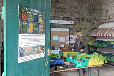 In Ierland zette ecodorp Cloughjordan een eigen gemeenschapsboerderij op die de dorpsbewoners voorziet van groenten en kruiden.