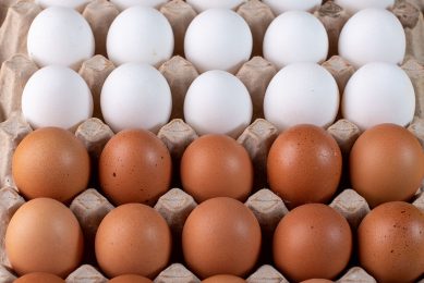 Kooi of scharrel en bruin of wit; alle eieren maken deze week een flinke prijssprong. - Foto: Canva
