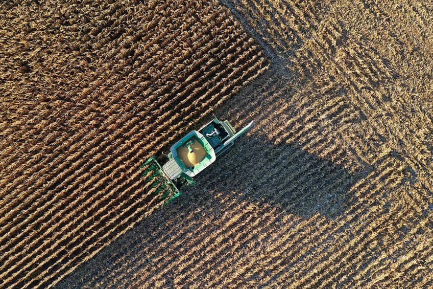 Maisoogst in de Amerikaanse staat Indiana in 2020. In de VS pakt de maisoogst volgens de huidige inschattingen ruim 50 miljoen ton lager uit dan vorig jaar. - Foto: Reuters