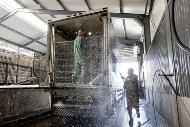 Vanwege de risico’s van Afrikaanse varkenspest en vogelgriep controleerde de NVWA extra op het correct reinigen en ontsmetten van vrachtwagens. - Foto: Herbert Wiggerman