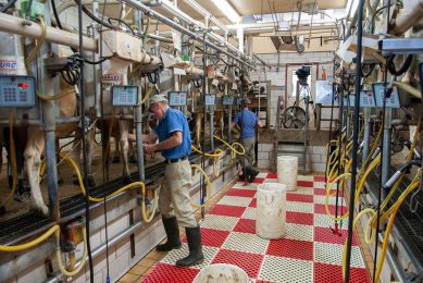 Dit jaar zal in de EU de melkproductie in het derde kwartaal onveranderd blijven en in het laatste kwartaal licht stijgen, aldus de Rabobank. - Foto: Canva