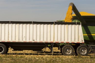 Maisoogst in Illinois, begin oktober. De maisoogst in de VS is voor 20% voltooid. Daarmee liggen oogstwerkzaamheden 2% achter op het vijfjarengemiddelde. - Foto: ANP