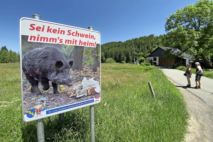 Varkenshouders in het Duitse Emsland lopen miljoenen schade door de uitbraak van Afrikaanse varkenspest.