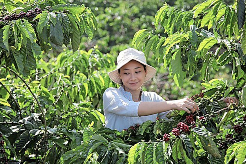 Nestlé gaat nauw samenwerken met lokale koffieboeren om hen te ondersteunen bij de overgang naar regeneratieve landbouw.