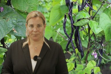 F&A Update: reorganisatie Impossible Foods, Verkade en Fairtrade, bijzondere groenten
