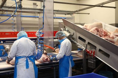 In Gouda staat een vleesverwerkingsbedrijf van Compaxo. In Zevenaar slachten ze varkens. Foto: Henk Riswick