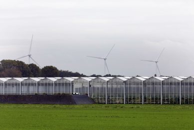 Glastuinbouw Nederland vraagt de Tweede Kamer onder meer om de glastuinbouw te ondersteunen bij het versnellen van de energietransitie. Foto: Roel Dijkstra