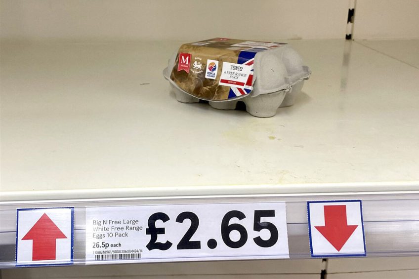 Eierschappen in Britse supermarkten zijn zo goed als leeg, zoals in deze winkel van Tesco. - Foto: ANP