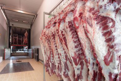 De NVWA neemt in slachterijen vleesmonsters van runderen, varkens, paarden, geiten en schapen. Foto: Canva