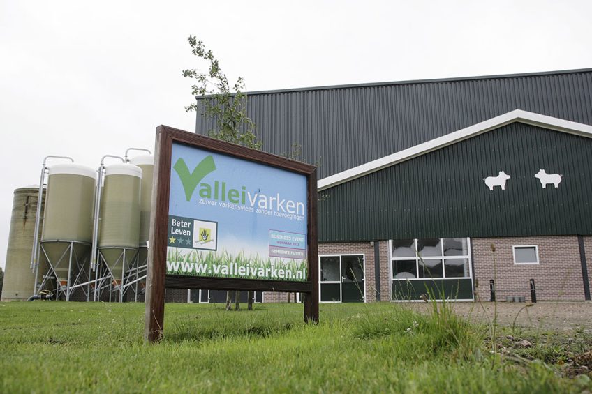 Onder de bestaande naam Vallei Varken wil Agrifirm samen met varkenshouders klimaatneutraal varkensvlees gaan produceren. - Foto: Ton Kastermans