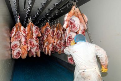 De verkopen van varkensvlees voor de kerst zijn goed op gang gekomen. Vooral de bestellingen uit Oost-Europa stromen binnen. - Foto: Bert Jansen