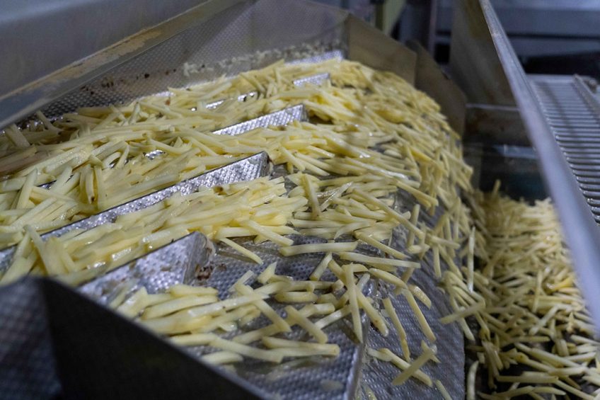 Volgens de WTO kon Colombia niet voldoende bewijzen dat Nederlandse frites onder de marktprijs werd verkocht in het land. - Foto: Jan Willem Schouten