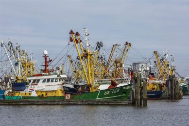 De kottervisserij in Nederland gaat door een diep dal, vooral door de hoge dieselprijs. - Foto: ANP