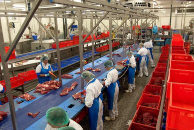 Het aantal werknemers in de vleessector is tussen 2006 en 2020 toegenomen van 36.100 naar 37.400 werknemers. - Foto: Ronald Hissink