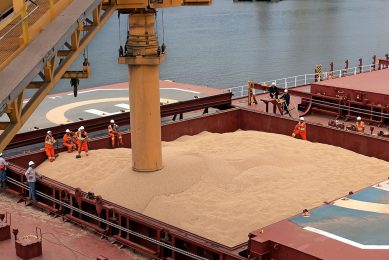 Vrachtschip met sojabonen voor China, in Santos (Brazilië).  China nam 57% van de soja af in 2022. - Foto: Reuters