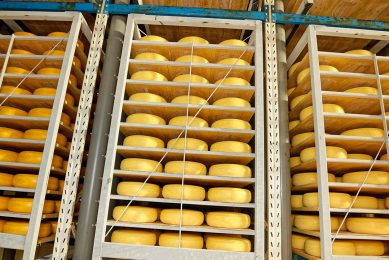 Volgens prognoses van ZuivelNL heeft Nederland in 2022 zo’n 950.000 ton kaas geproduceerd. - Foto: Lex Salverda