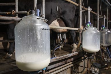 Lactalis Leerdammer en Eko-Holland verlagen melkprijs voor februari. Foto: Anne van der Woude
