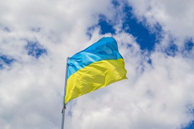 De Oekraïense vlag. Foto: Canva