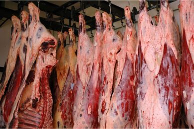 Brazilië is de grootste exporteur van rundvlees ter wereld. - Foto: Canva/ideabug