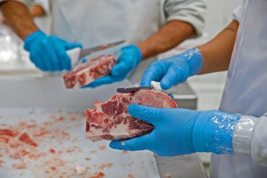 In de periode januari tot november 2022 daalde de Europese varkensvleesproductie 5,1% op jaarbasis. Foto: Canva