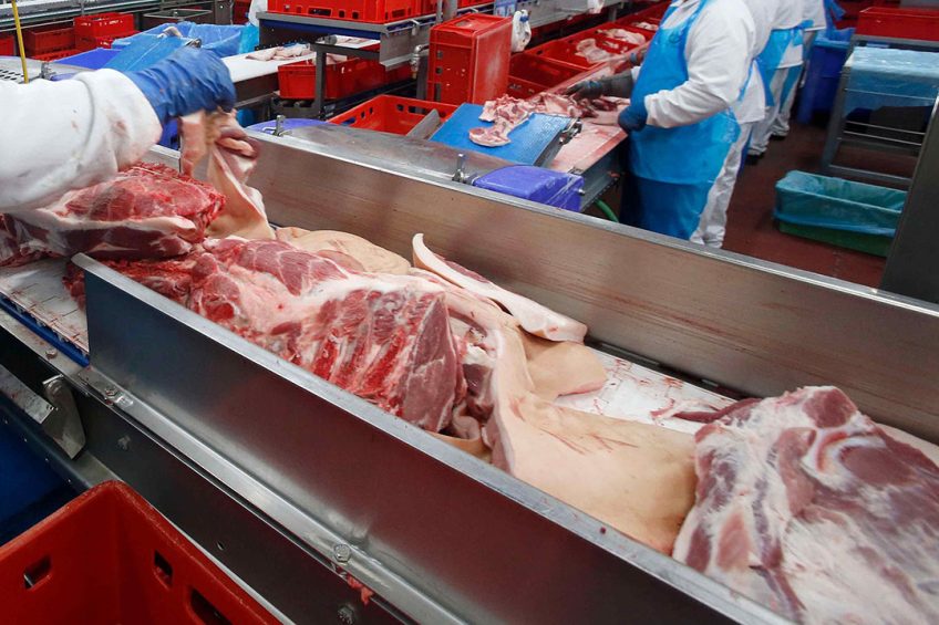 Slachterijen hopen dat de vraag naar varkensvlees in China aantrekt. - Foto: Bert Jansen