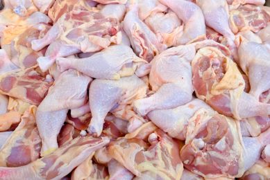 De Nederlandse pluimveesector merkt de gevolgen van meer import van pluimveevlees dat in Oekraïne onder minder strenge eisen wordt geproduceerd. - Foto: Canva/Juggernaut69