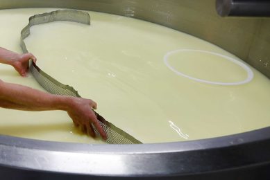De kaasmaker gebruikt de wei als grondstof voor nieuwe streekproducten als lactose en ricotta. - Foto: Ton Kastermans
